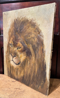 19th century French Lion Portrait