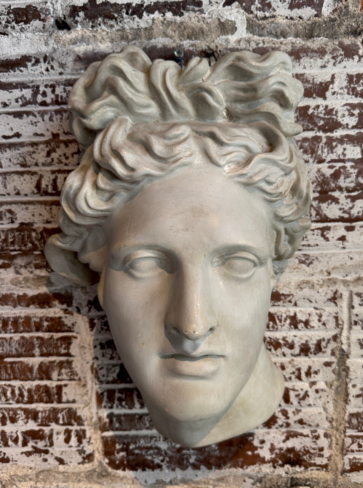 Plaster Wall Relief of Belvedere Apollo