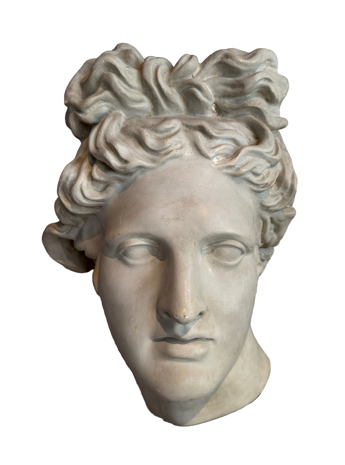 Plaster Wall Relief of Belvedere Apollo