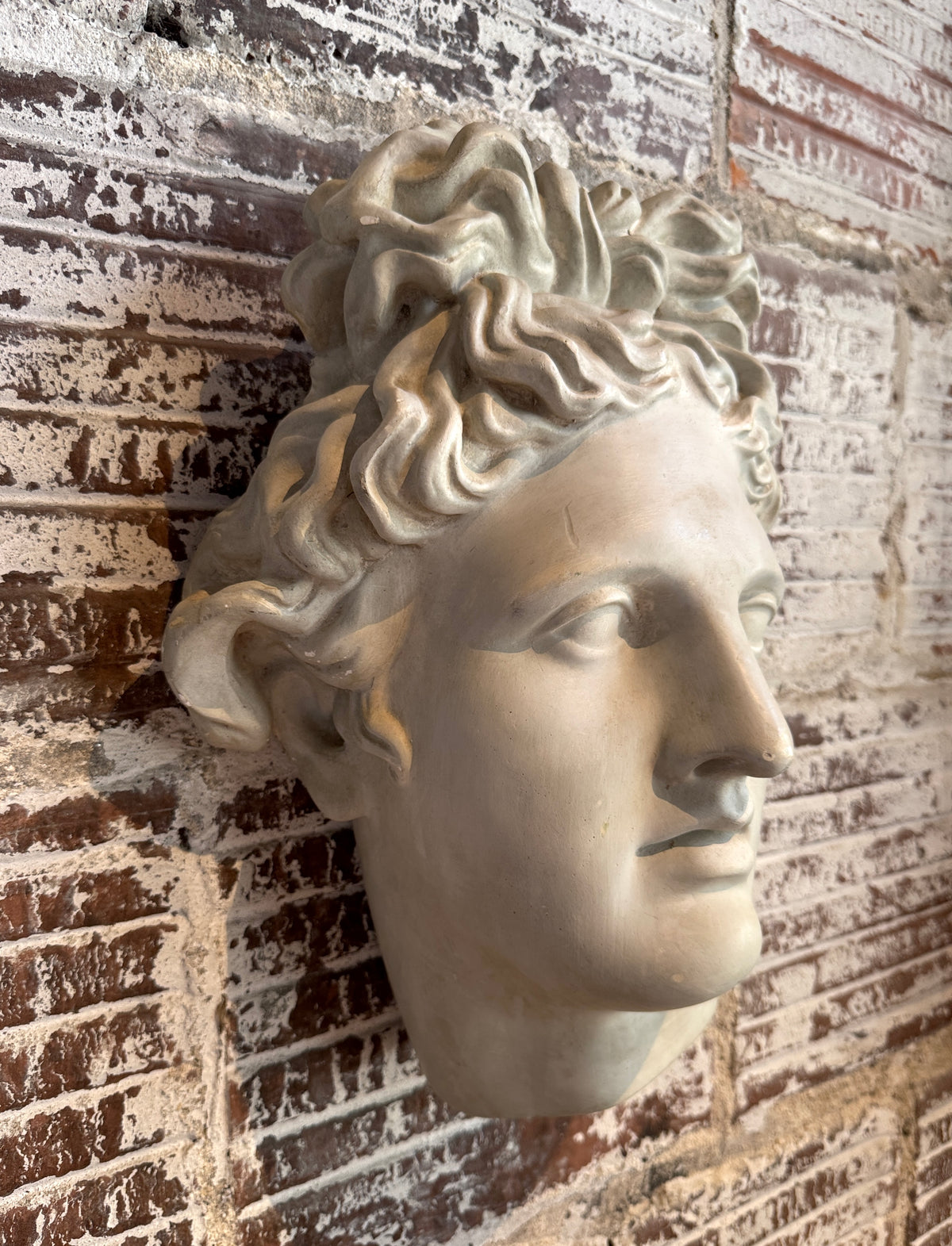 Plaster Wall Relief of Belvedere Apollo