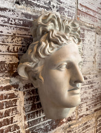 Plaster Wall Relief of Belvedere Apollo