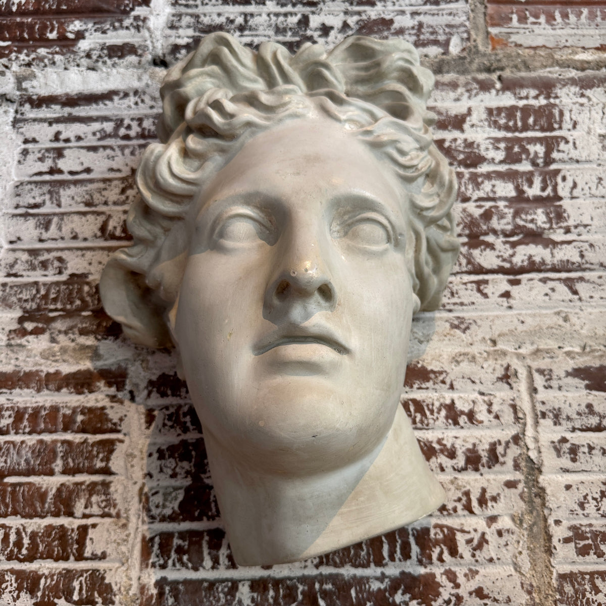 Plaster Wall Relief of Belvedere Apollo