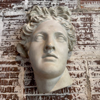 Plaster Wall Relief of Belvedere Apollo