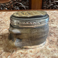 Georgian Horn Snuff Box