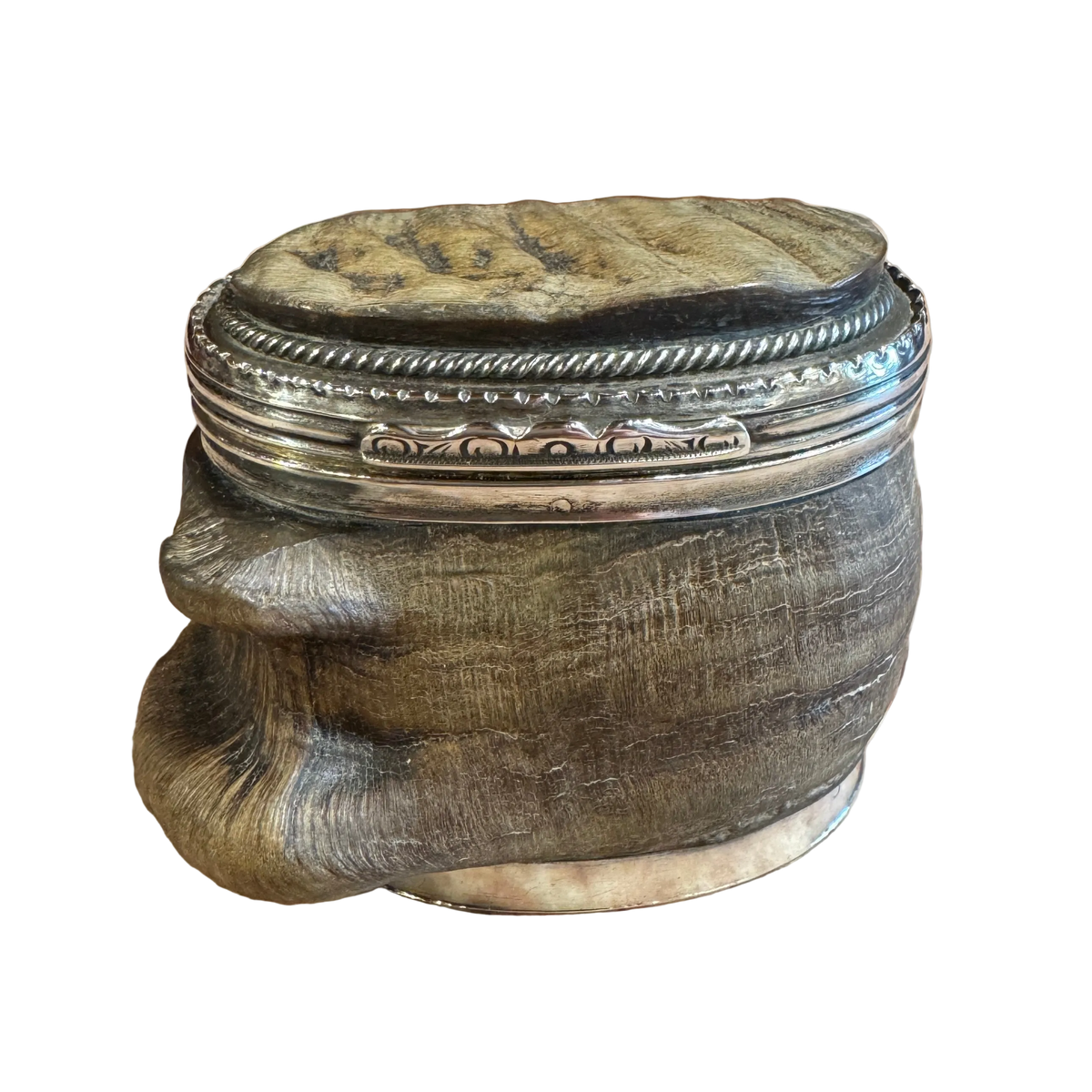 Georgian Horn Snuff Box