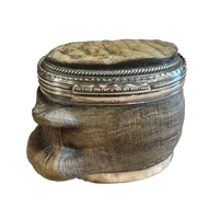 Georgian Horn Snuff Box