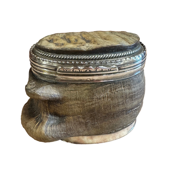Georgian Horn Snuff Box