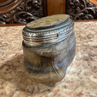 Georgian Horn Snuff Box