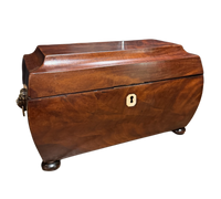 Antique English Regency Tea Caddy