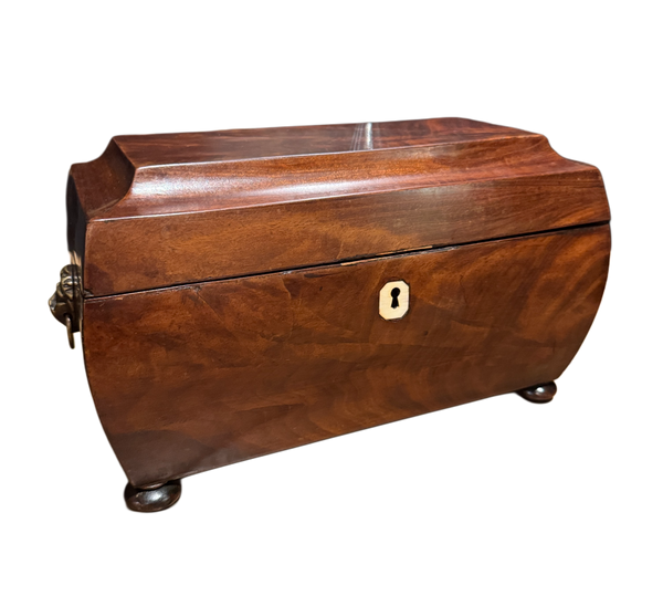 Antique English Regency Tea Caddy