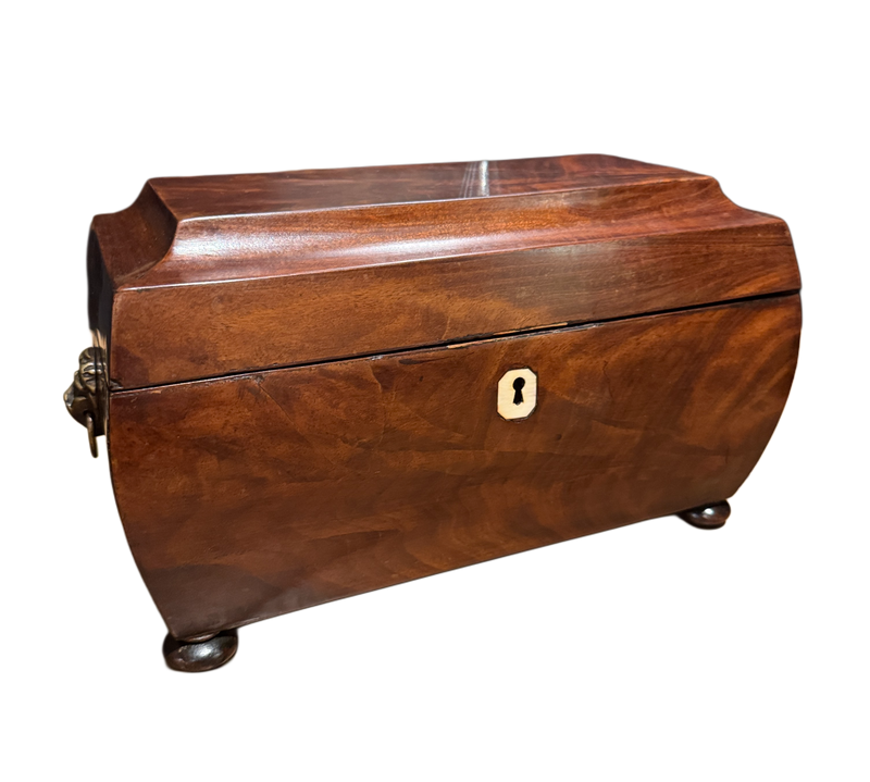 Antique English Regency Tea Caddy
