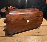 Antique English Regency Tea Caddy