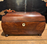 Antique English Regency Tea Caddy