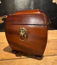 Antique English Regency Tea Caddy