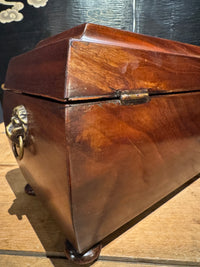 Antique English Regency Tea Caddy