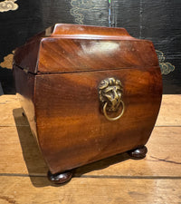 Antique English Regency Tea Caddy