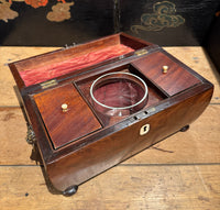 Antique English Regency Tea Caddy