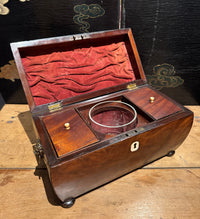 Antique English Regency Tea Caddy