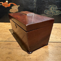 Georgian Mahogany Tea Caddy