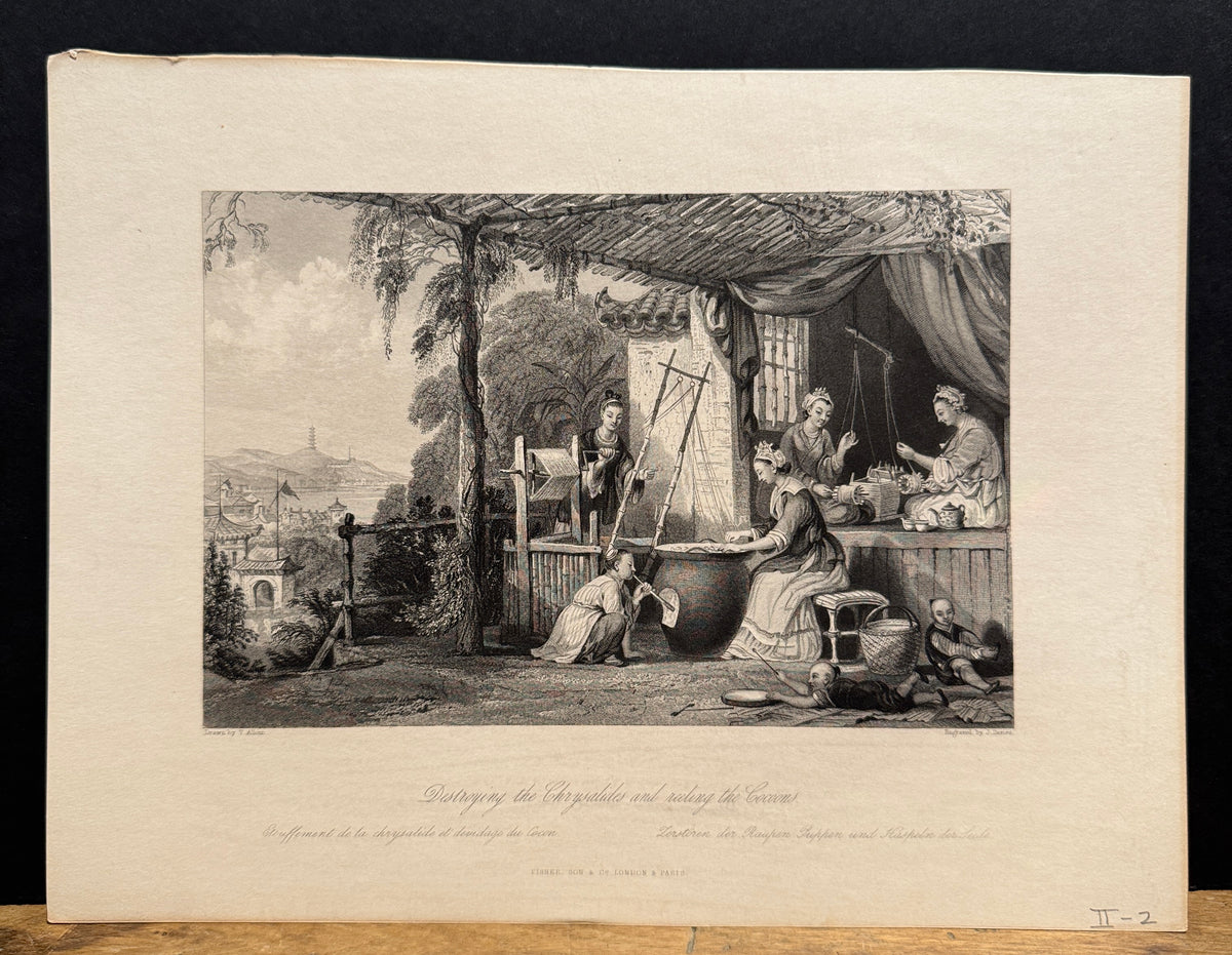 "Destroying The Chrysalides And Reeling Coccoons," Engraving After Thomas Allom