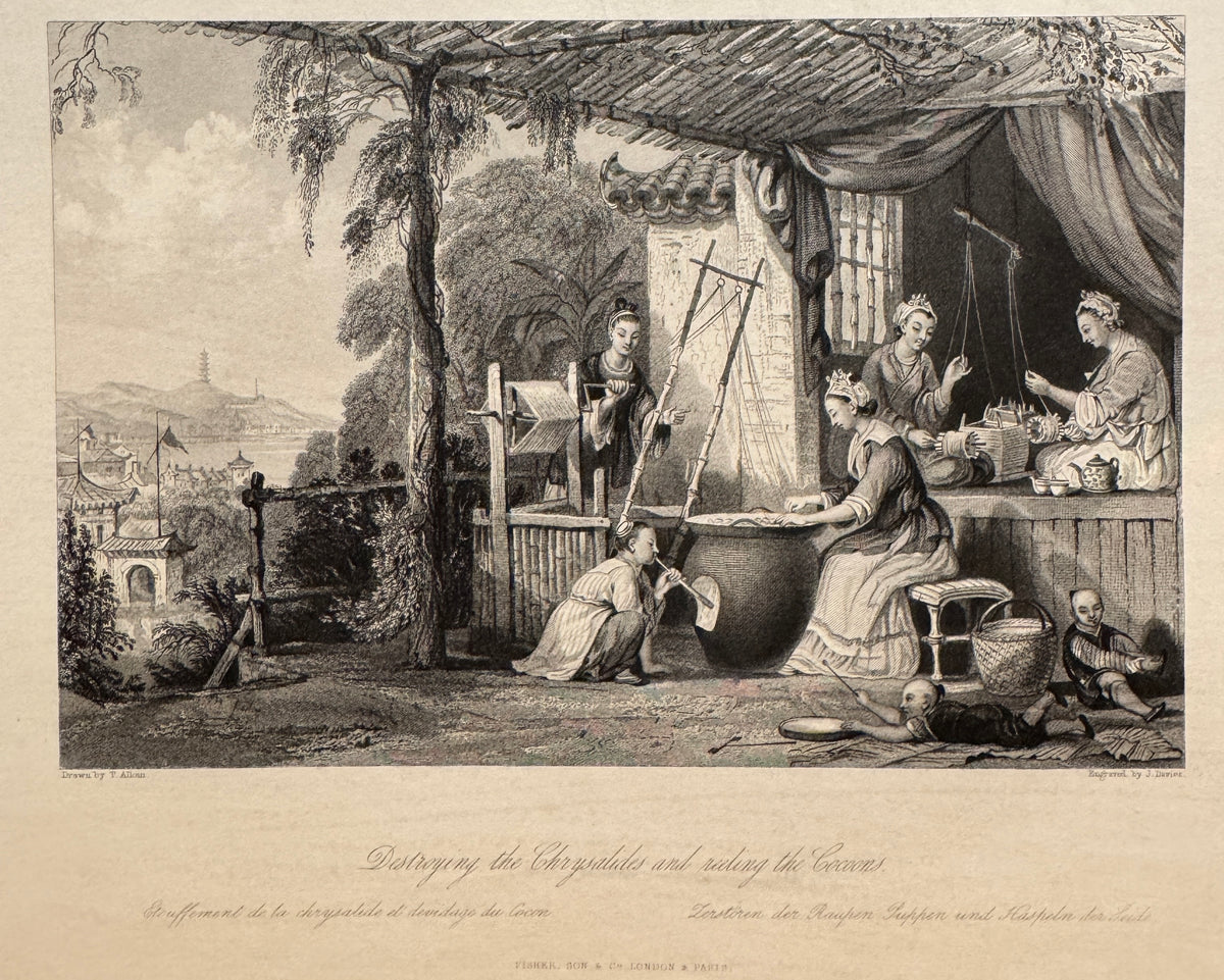 "Destroying The Chrysalides And Reeling Coccoons," Engraving After Thomas Allom