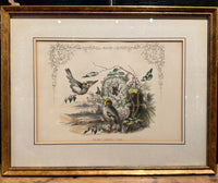 Set of 4 Framed Bird Lithographs, Paul Jerrard