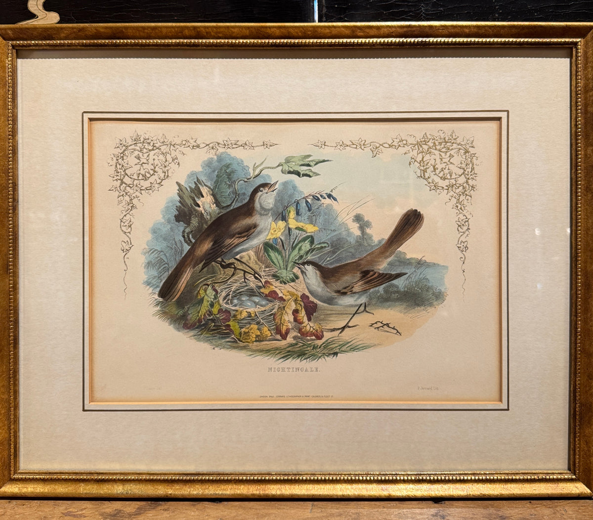 Set of 4 Framed Bird Lithographs, Paul Jerrard