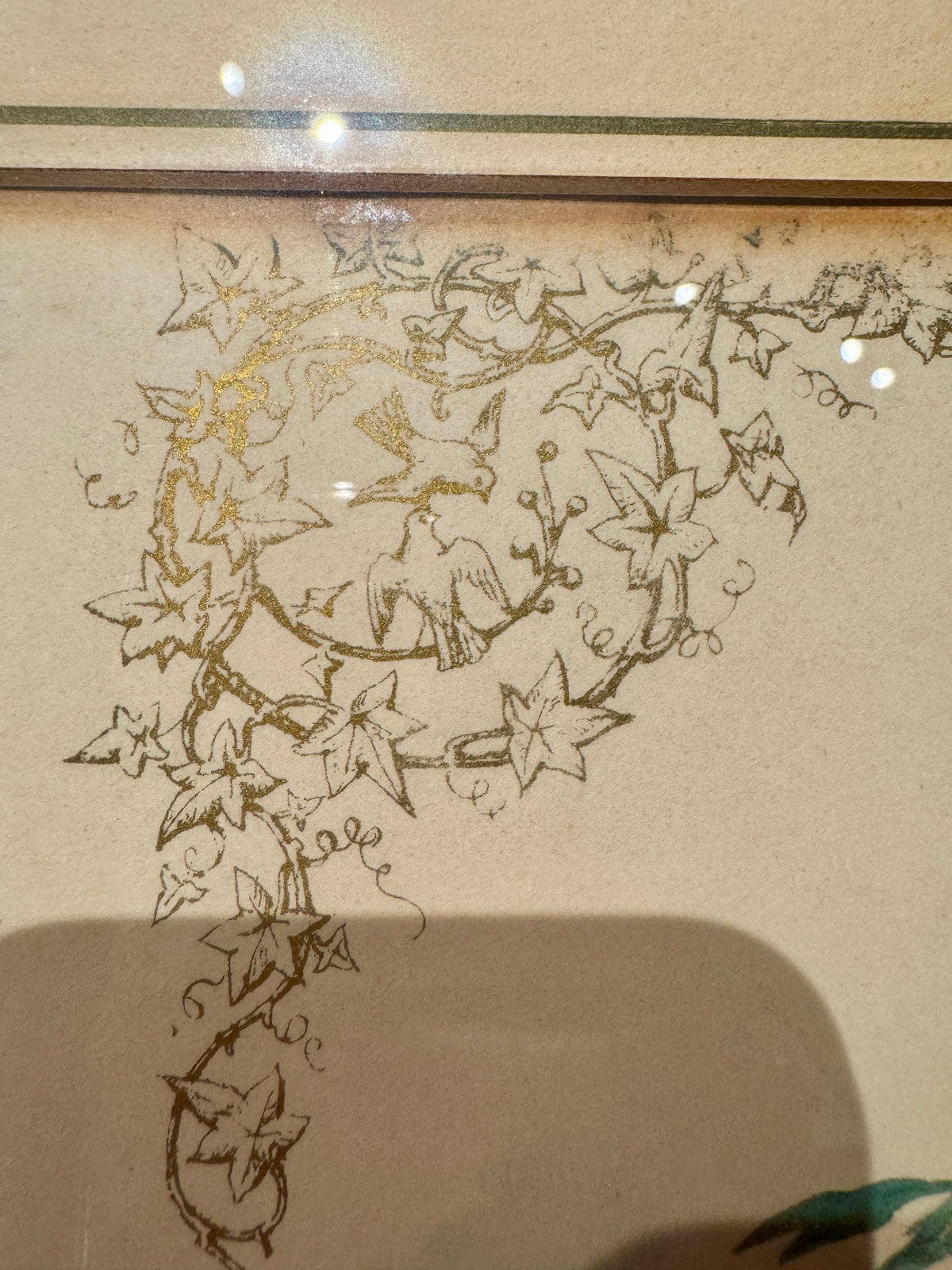 Set of 4 Framed Bird Lithographs, Paul Jerrard