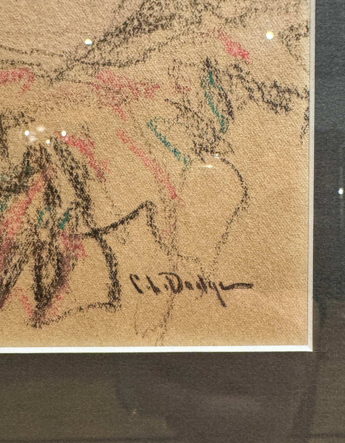 Portrait of A Lady Drawing by C. Dodge
