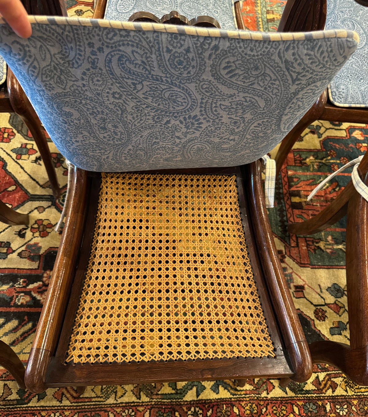 Set of 6 English Regency Mahogany Caned Dining Chairs