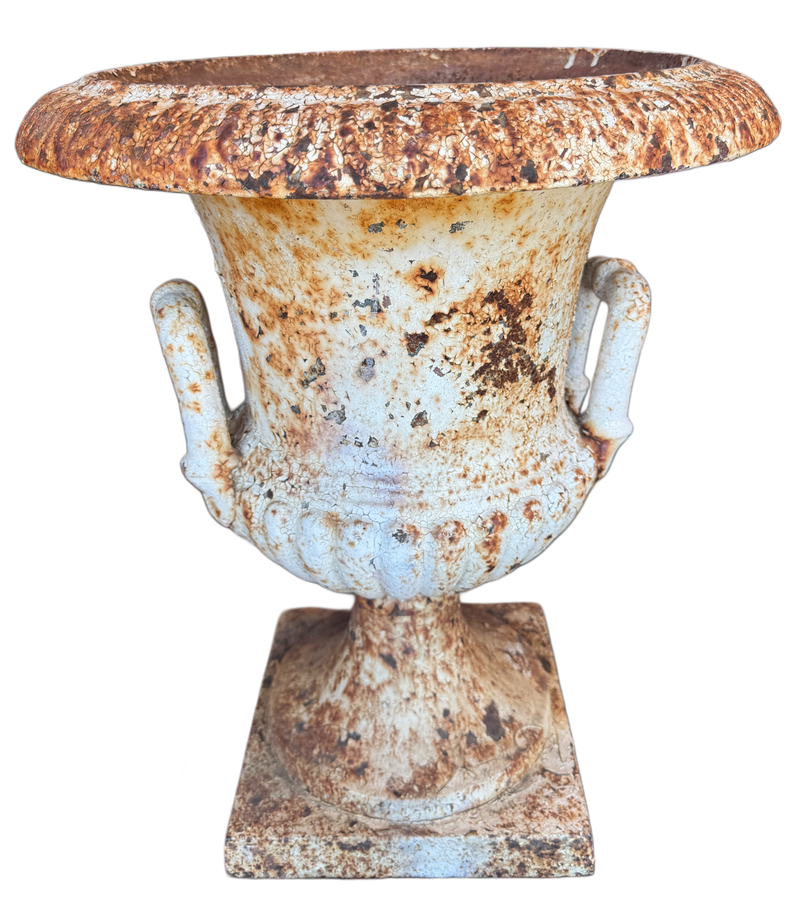 19th Century Neoclassical Style Cast Iron Urn