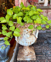 19th Century Neoclassical Style Cast Iron Urn
