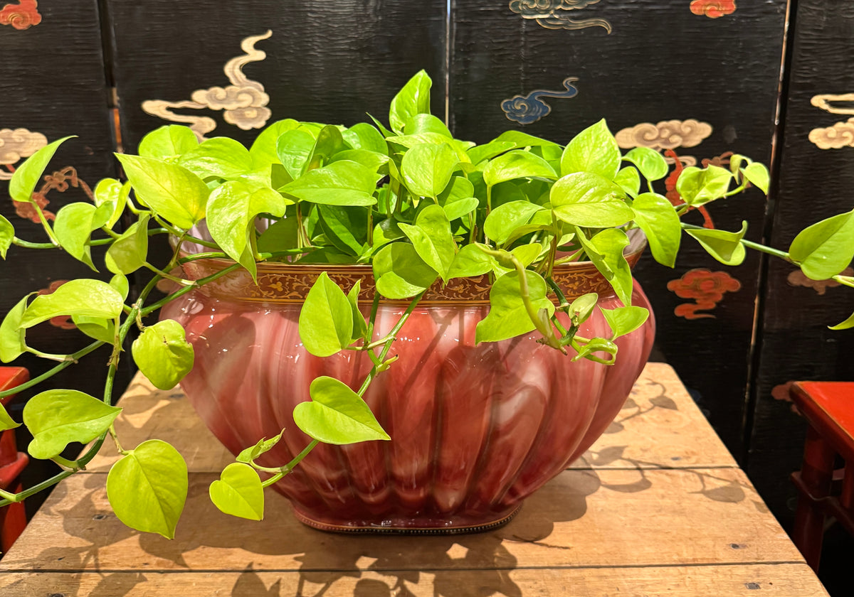 Art Glass Jardiniere Attributed To Loetz